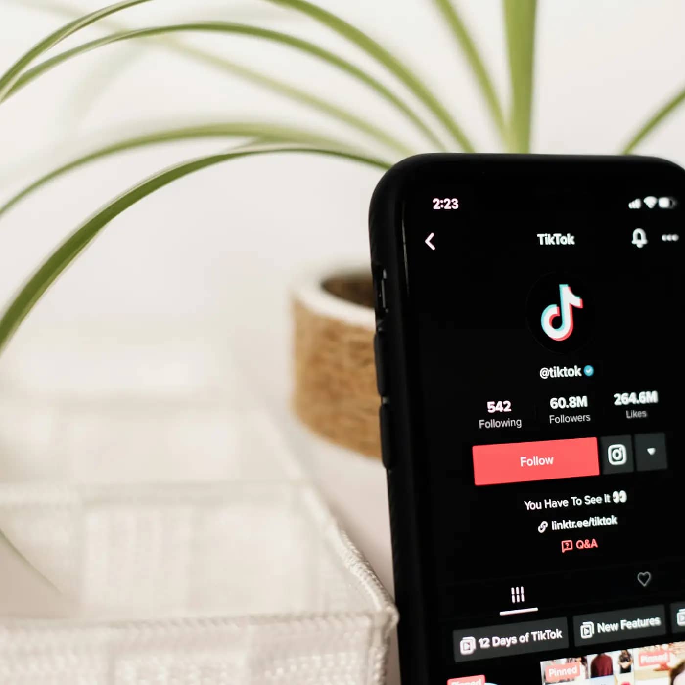 TikTok influencer marketing