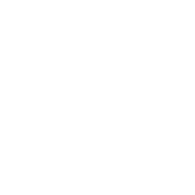 China Oriental Logo