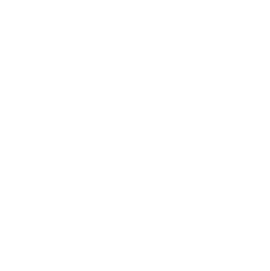 Monash Chinese Student Association Logo