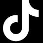 TikTok Ads icon