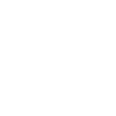 Business Websites icon