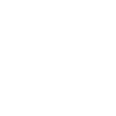 Custom Websites icon