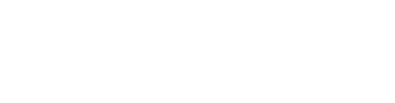 51 Forex Logo