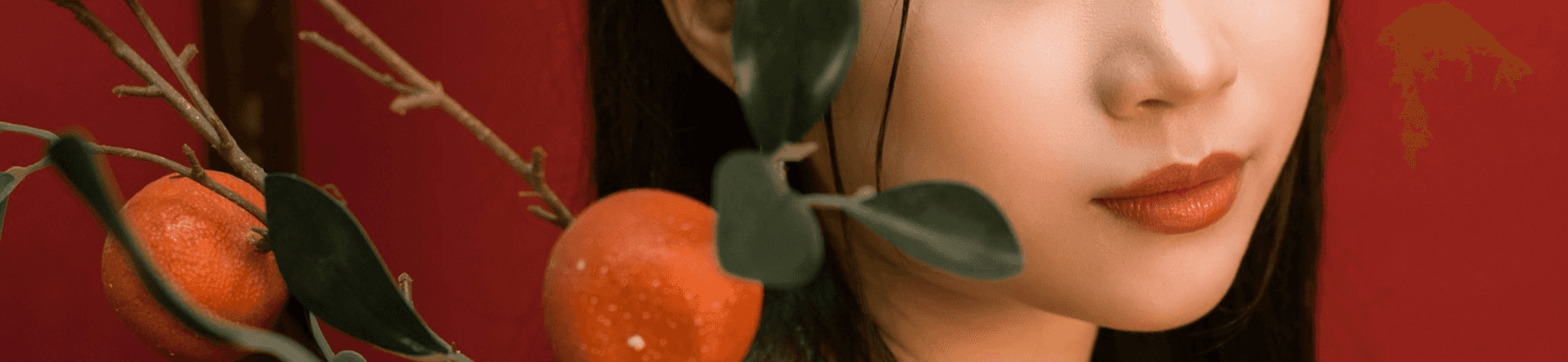 Xiaohongshu influencer marketing